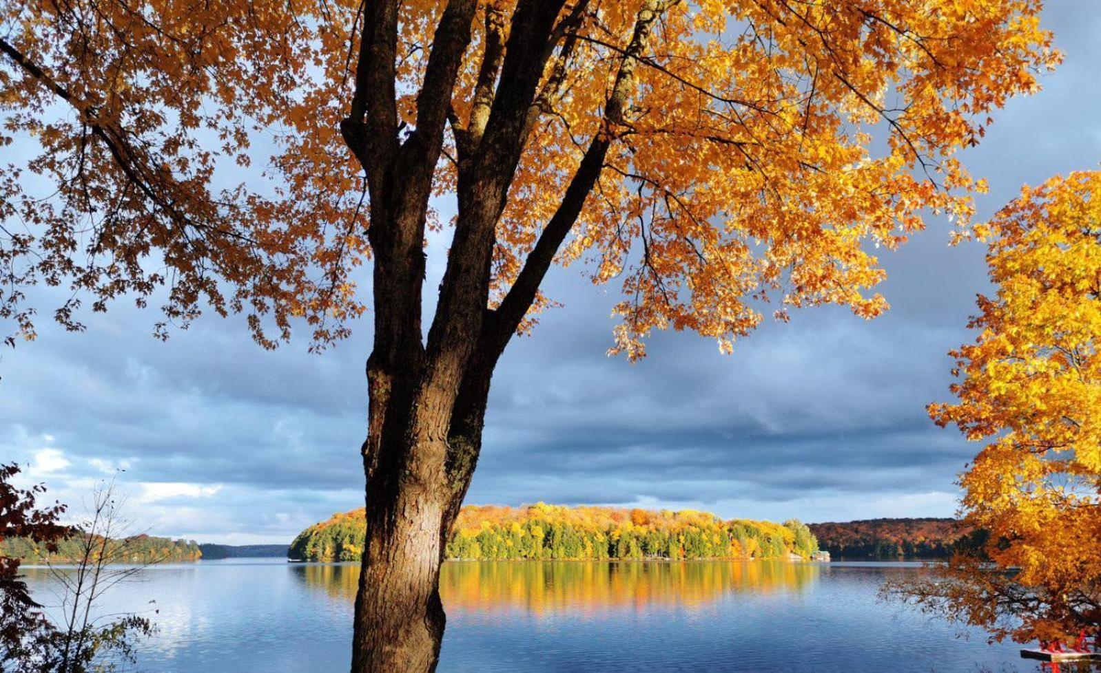 Muskoka Escape Hotel Port Carling Buitenkant foto